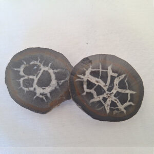 Thunder egg halves Appoximately 15gm