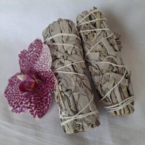 White Sage Smudge Sticks 10 x 2,5 CM