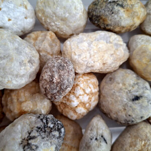 Quartz Geodes Uncut. 12 - 40 gm