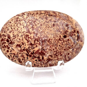 Calcite Rose palm stone 88gm