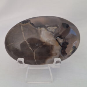Volcanic Agate Palm Stone42gm