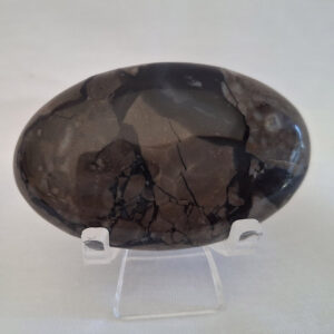 Volcano Agate Palm Stone 36 gm