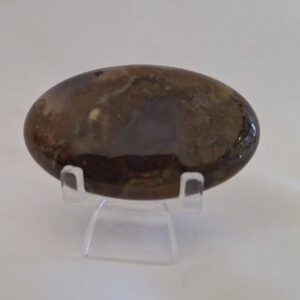 Volcano Agate Palm Stone 37gm