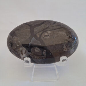 Volcano Agate Palm Stone 36gm