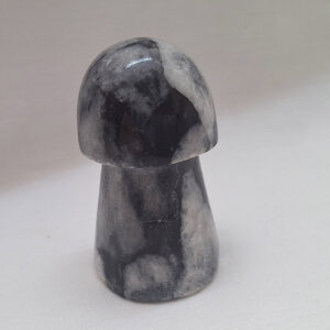 Zebra Japer Mushroom 68gm