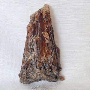 Calcite Amber Raw Stone 24 gm