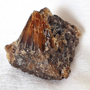Calcite Amber Raw Stone 70 gm