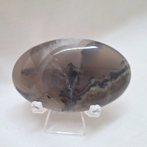 Volcanic Agate Palm Stone 111 gm