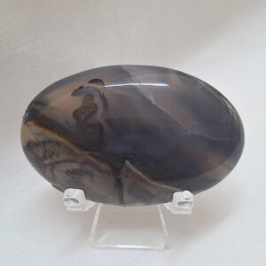 Volcanic Agate Palm Stone 38gm
