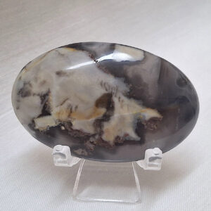 Volcanic Agate Palm Stone 40gm